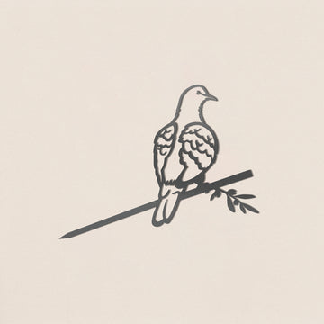 Turtle Dove